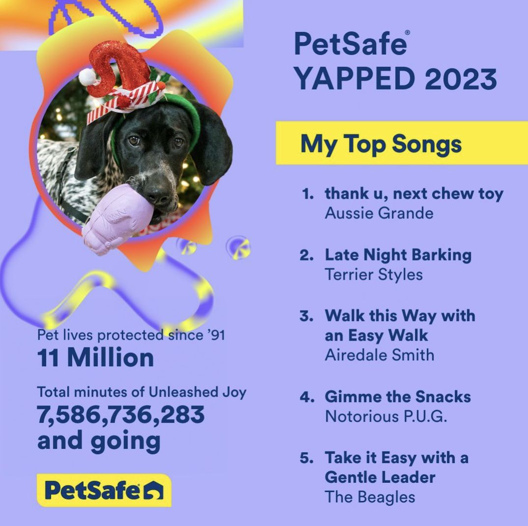 PetSafe social post