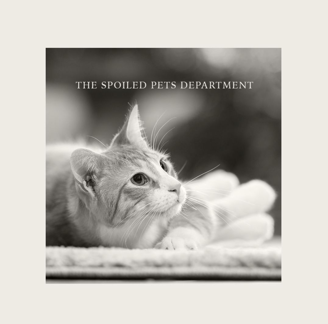 PetSafe social post